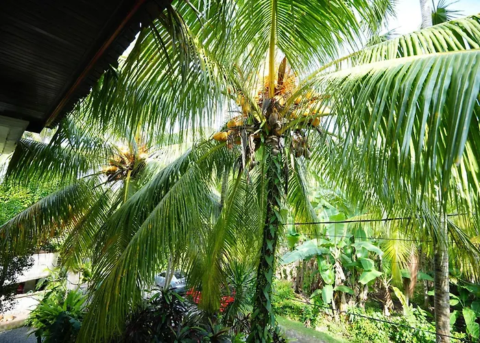 The Galuh Pekutatan Gasthuis